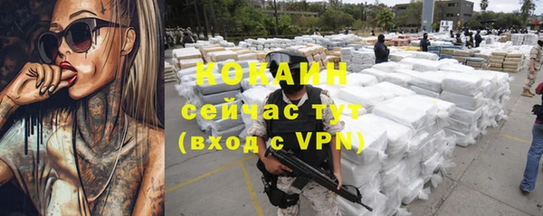 скорость Богданович