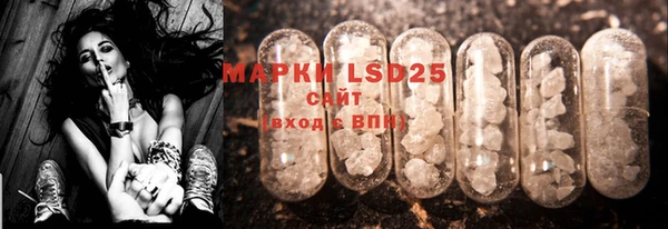 mdma Богородицк