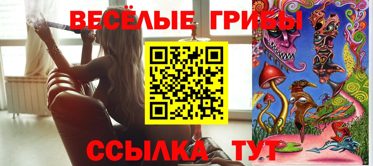 Свободный  Псилоцибиновые грибы MAGIC MUSHROOMS  Вход с VPN 