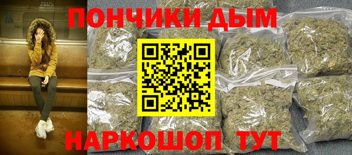 Шишки марихуана сатива Свободный